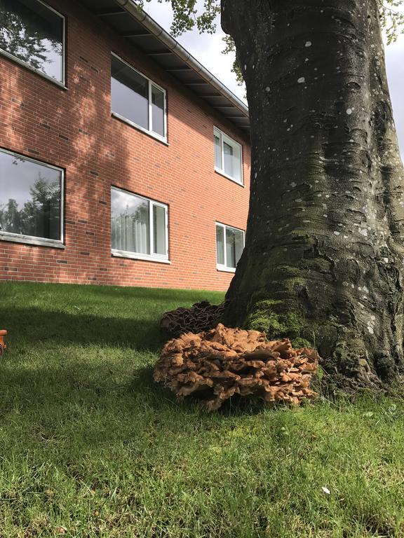 Hotel Jernbanegade Kibæk Eksteriør bilde