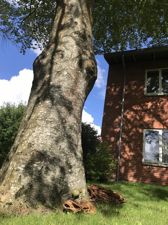 Hotel Jernbanegade Kibæk Eksteriør bilde